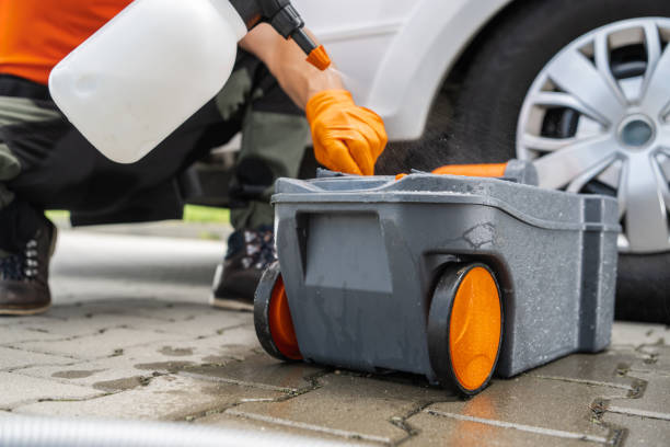 Best Tree Cabling and Bracing  in Mount Arlington, NJ